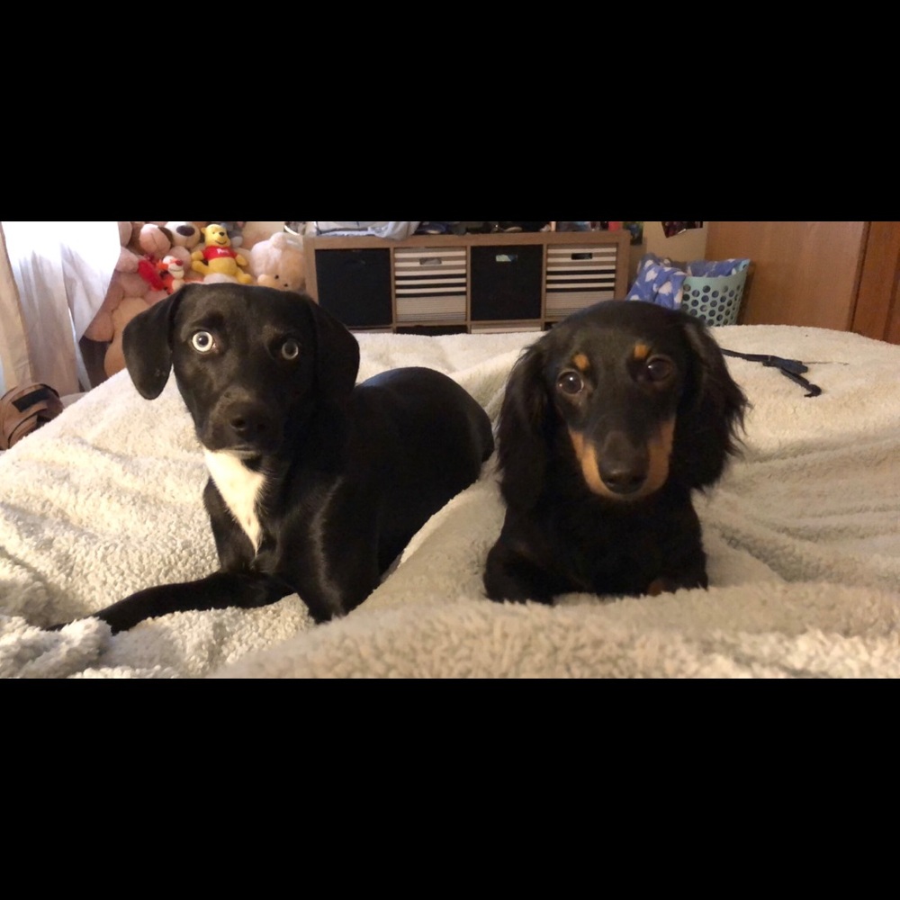 Meet your Posher, Brooksanna